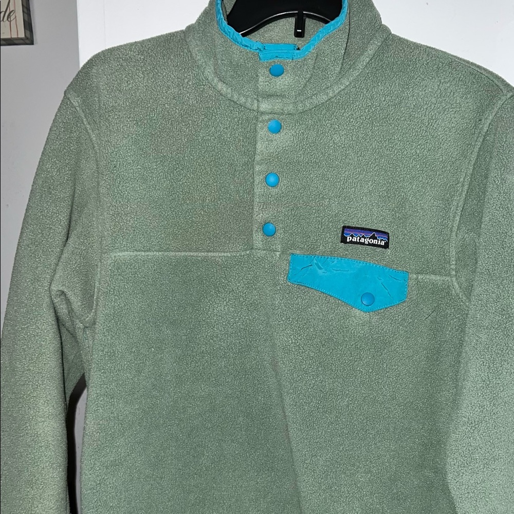 Patagonia Synchilla pullover